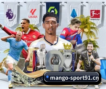 皇冠体育sport91 APP